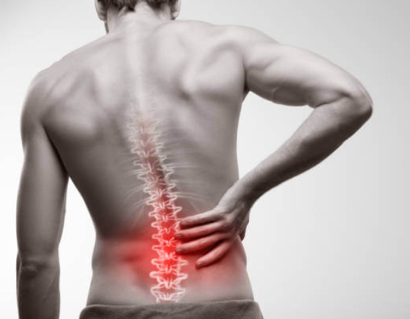 Screenshot 2024-06-19 135956 Green Nature Farms CBD Gummies